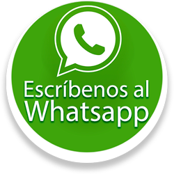 Chat Whatsapp